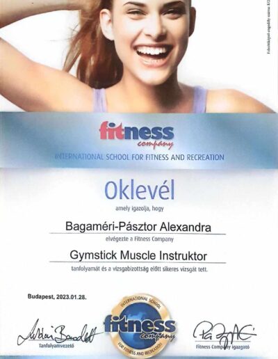 Gymstick Mucle Instruktor