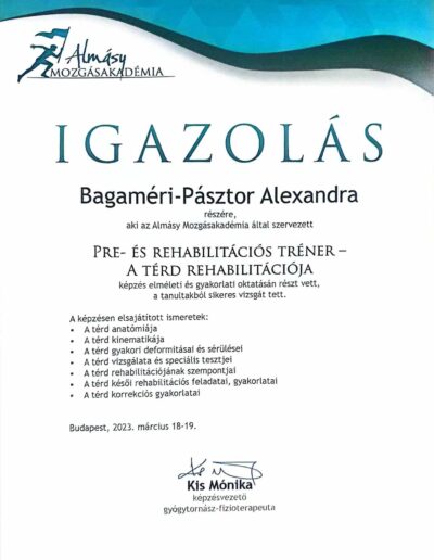 Pre- és rehabilitációs tréner