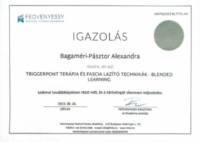 Triggerpont terápia és manuális fascia lazító technikák